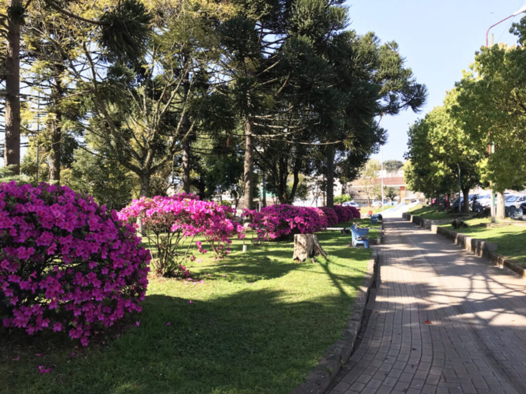 Semana começa com sol, mas instabilidade avança nos próximos dias