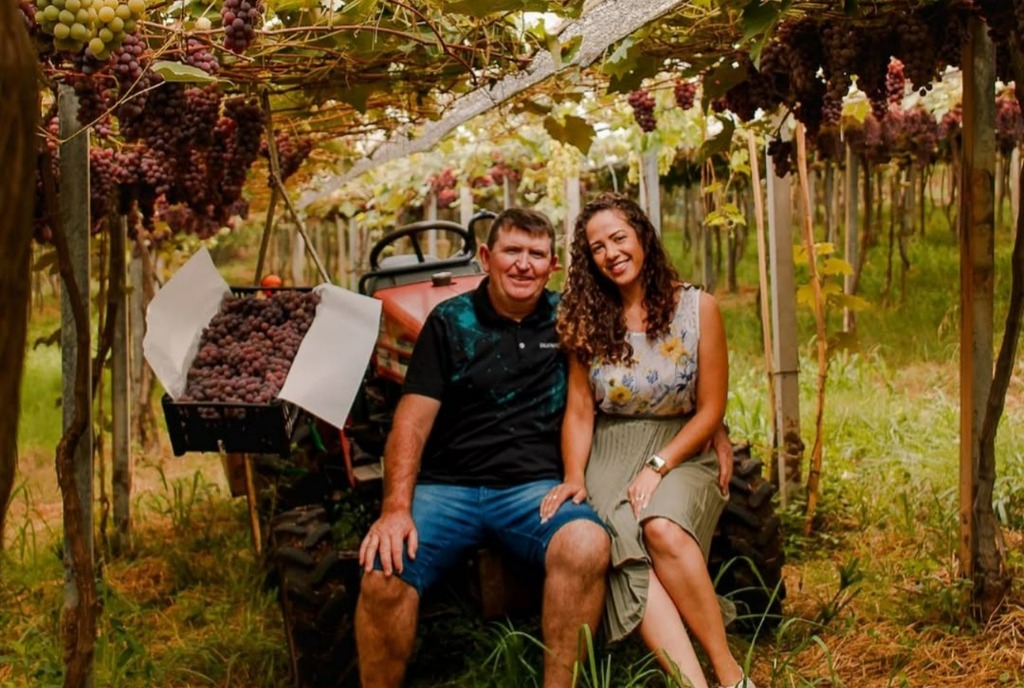 Pela primeira vez em quase um século, Festa da Uva terá distribuição de uva orgânica; projeto nasceu em São Marcos