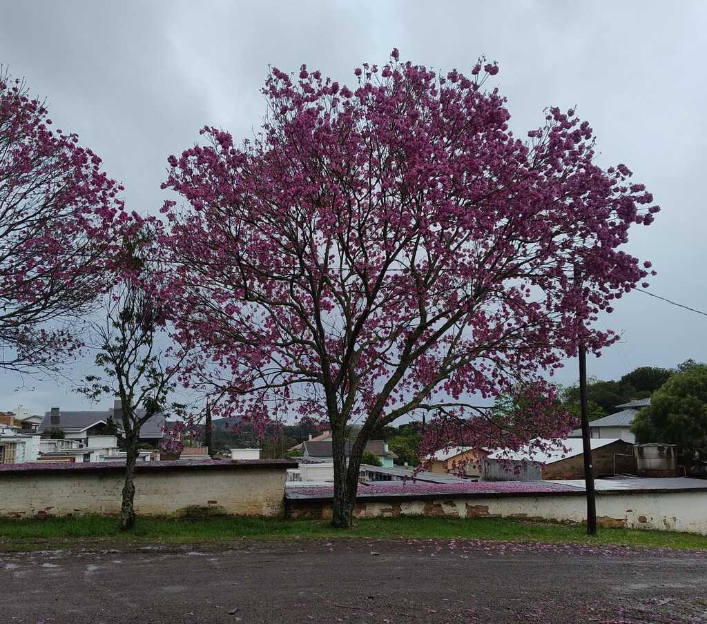 Chuva e sol marcam o começo de outubro