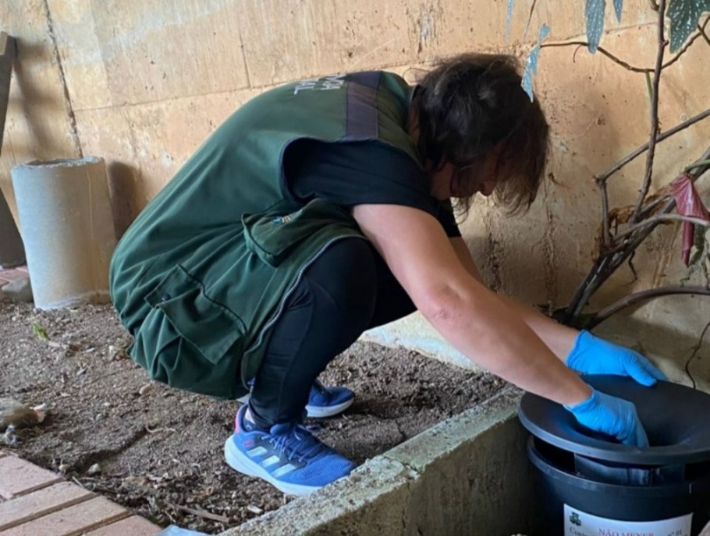 São Marcos testa tecnologia para reduzir população do mosquito da dengue e registra mês recorde de ovos