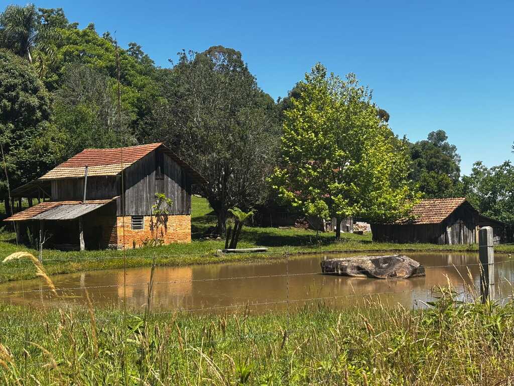 Domingo terá tempo firme e temperaturas agradáveis em São Marcos; calor aumenta no início da semana