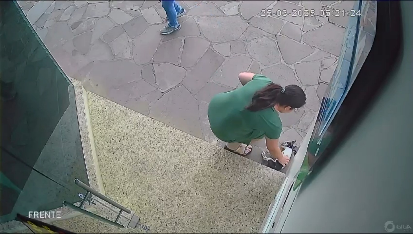 Servidor municipal reconduzido após arquivamento de inquérito; disputa civil entre tutora de animal e servidor segue em curso