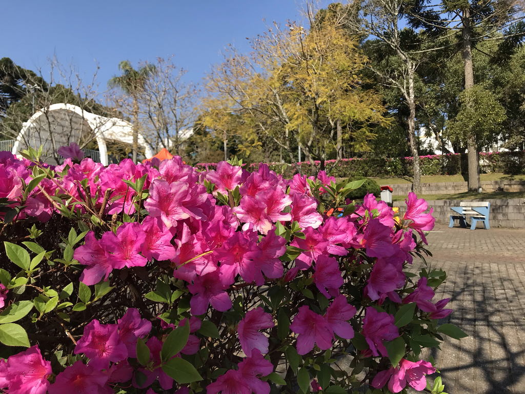 Sol e temperaturas amenas marcam a quarta-feira