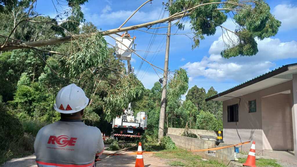 Queda de árvores expõe riscos e reforça alerta sobre responsabilidade de proprietários em São Marcos