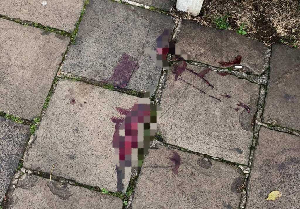 Mistério na madrugada: rastro de sangue intriga moradores e autoridades em São Marcos