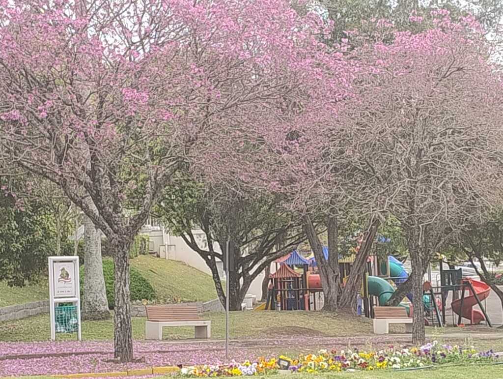 Primeiro dia da primavera tem chuva na maioria das regiões gaúchas